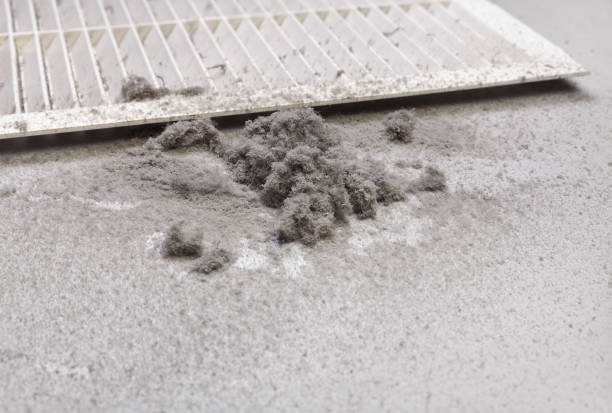 Best Air Vent Cleaning Services  in Haskell, AR